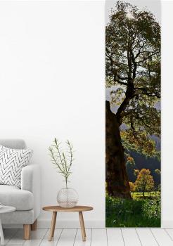 Flächenvorhang Herbstsonnenmomente  , Schiebevorhang, Schiebegardine, modern, 60 cm breit, 2,65 m h